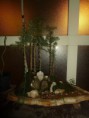 /album/galleria-foto-boschetto-di-cedrus-libanii-cedro-del-libano-su-lastra/p1010676-jpg1/